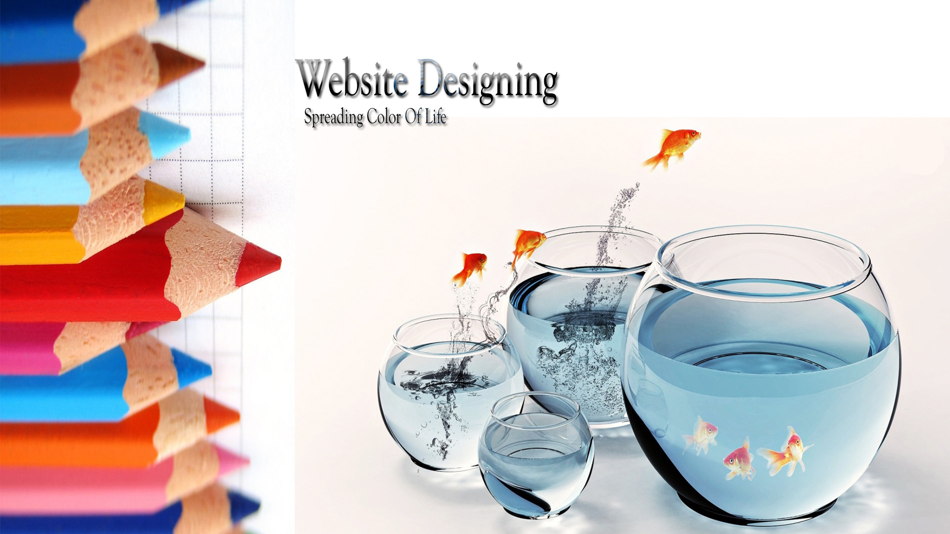 Thiết kế web công ty chuyên nghiệp